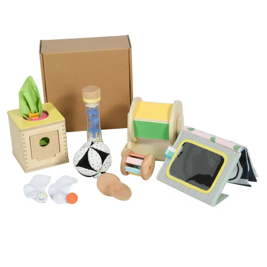 Jouet en bois Montessori jouet éducatif enfants boîte d'abonnement âge 9-10m